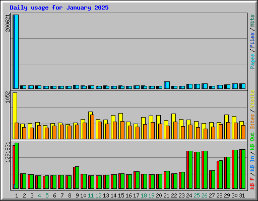 Daily usage for January 2025