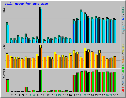 Daily usage for June 2025