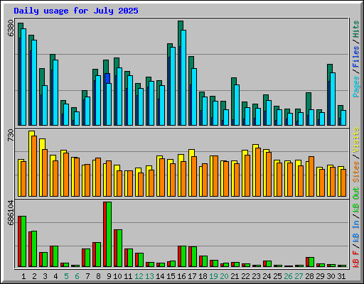 Daily usage for July 2025