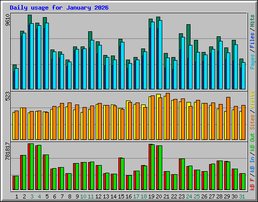 Daily usage for January 2026