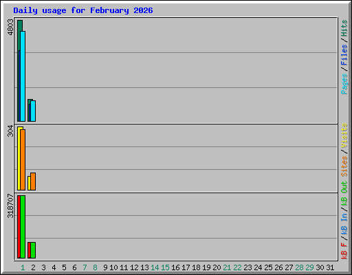 Daily usage for February 2026