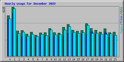 Hourly usage for December 2022