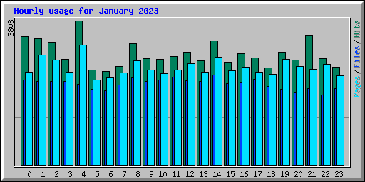 Hourly usage for January 2023