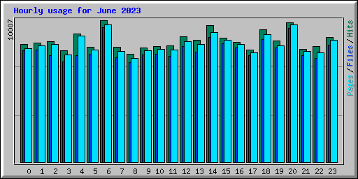 Hourly usage for June 2023