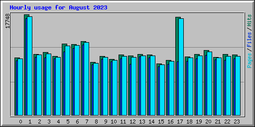 Hourly usage for August 2023