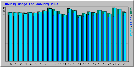 Hourly usage for January 2024