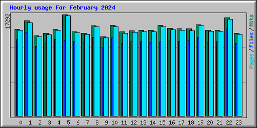 Hourly usage for February 2024