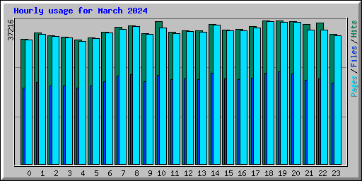 Hourly usage for March 2024