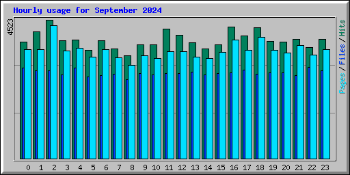 Hourly usage for September 2024