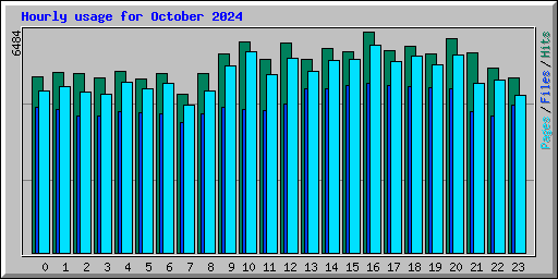 Hourly usage for October 2024