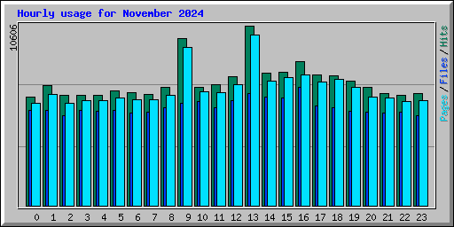 Hourly usage for November 2024