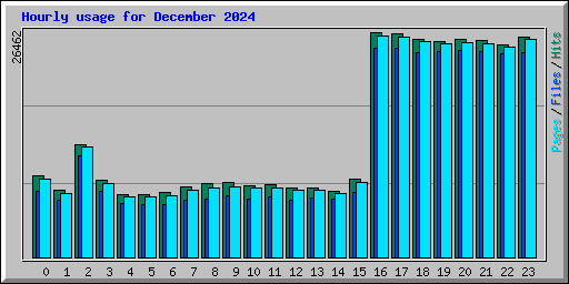Hourly usage for December 2024
