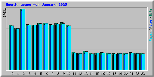 Hourly usage for January 2025