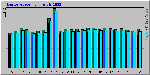 Hourly usage for March 2025
