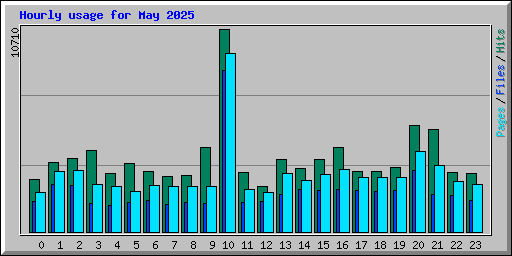 Hourly usage for May 2025