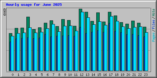 Hourly usage for June 2025