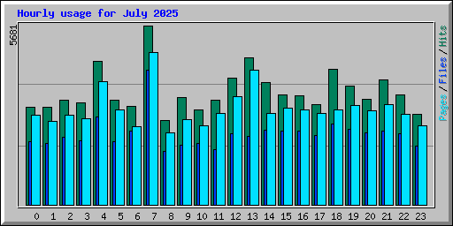 Hourly usage for July 2025