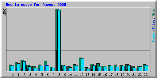 Hourly usage for August 2025