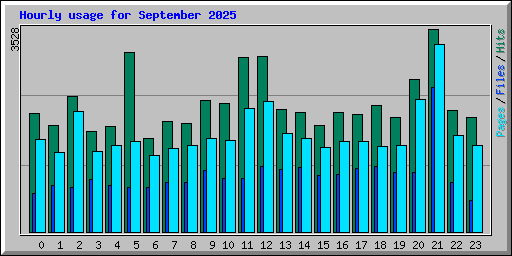 Hourly usage for September 2025