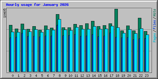 Hourly usage for January 2026