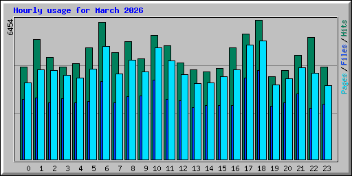 Hourly usage for March 2026
