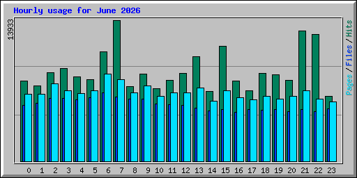 Hourly usage for June 2026